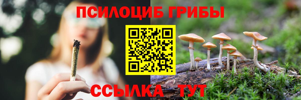 Галлюциногенные грибы Psilocybine cubensis  Вход с VPN  Бутурлиновка 