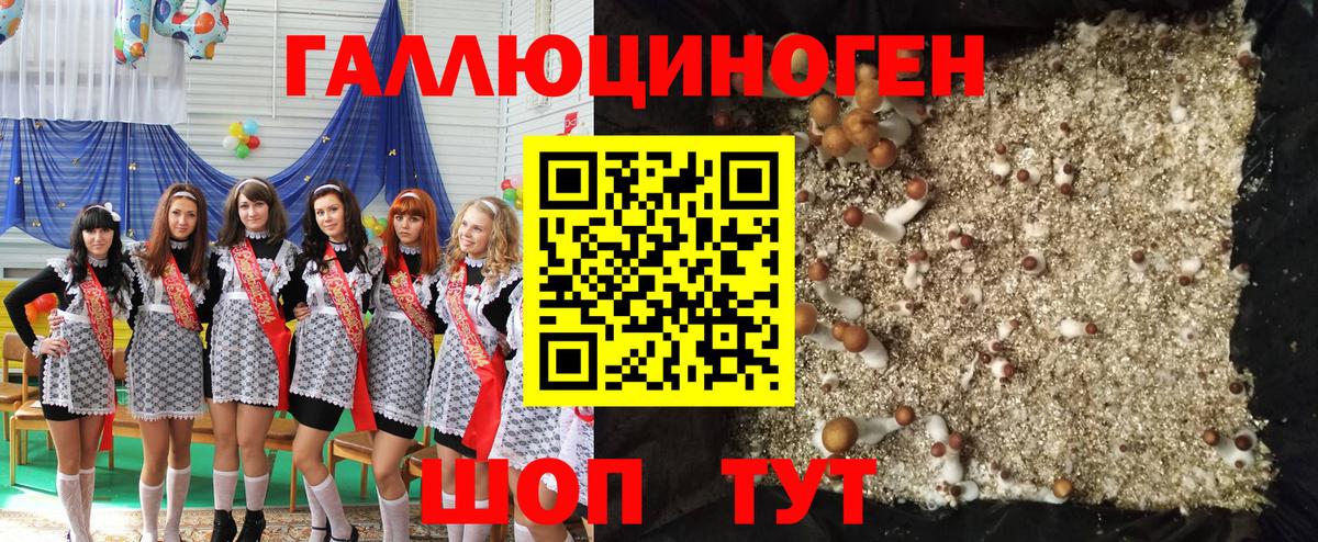 Псилоцибиновые грибы мухоморы Бутурлиновка